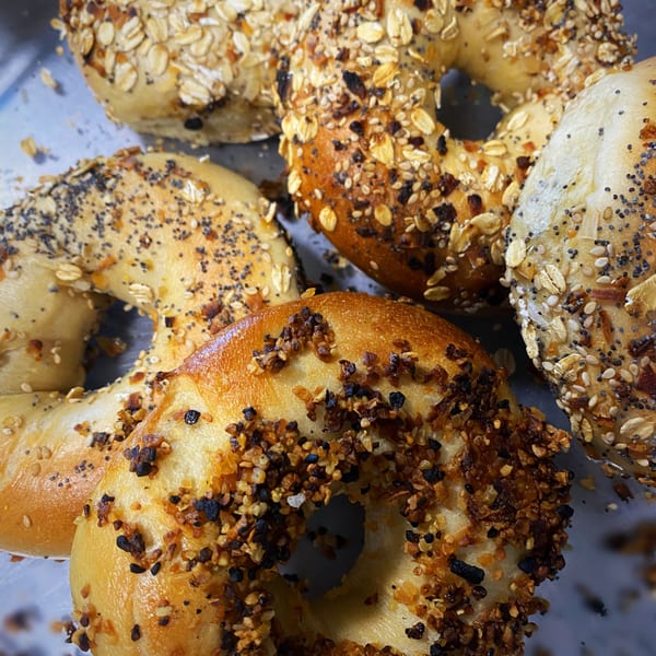 Assortment of freshly baked bagels with various toppings like poppy seeds, oats, and everything seasoning.
